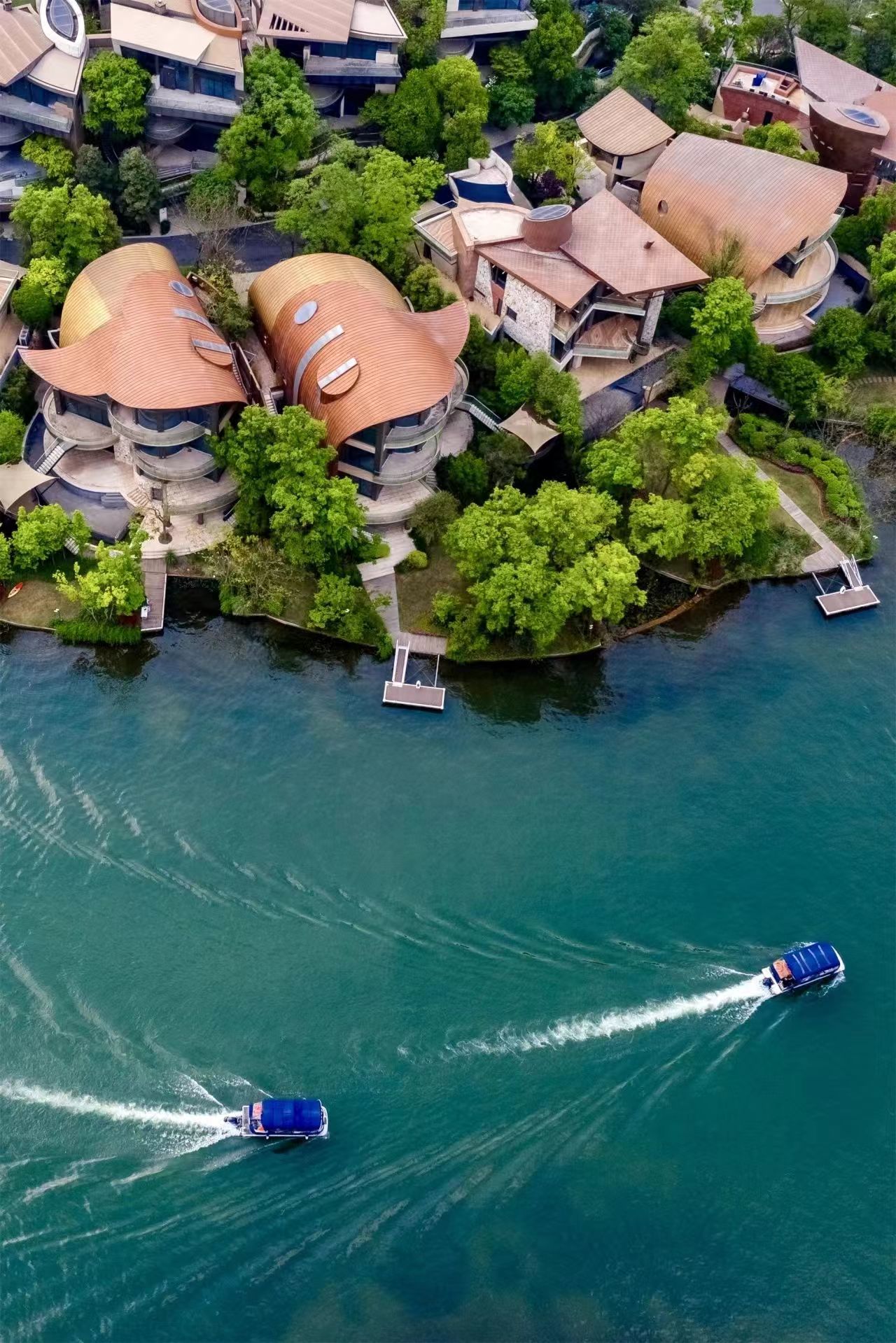 1729475090859669.jpg 01.jpg